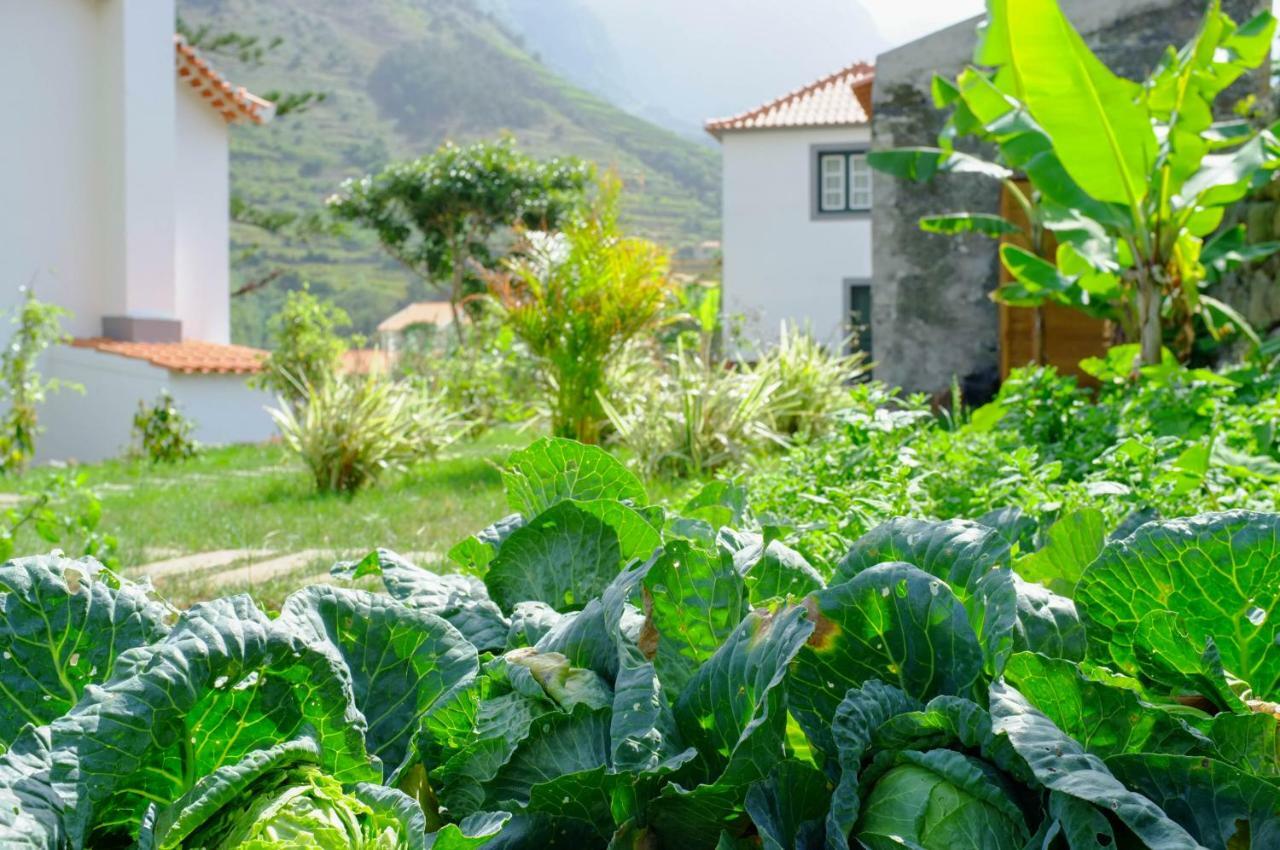 Casa Oliveira Esmeraldo - Guest Houses Sao Vicente  Ngoại thất bức ảnh